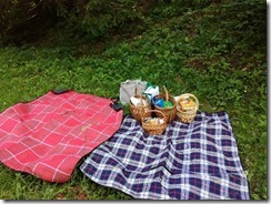 Slika 6. Prostor za piknik
